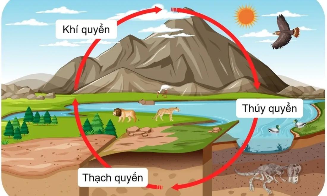 Thạch quyển là kho dự trữ khoáng sản và chất dinh dưỡng