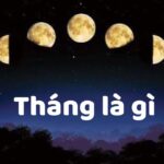Thang La Gi 1749527634