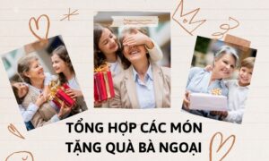 Tong Hop Cac Mon Qua Tang Ba Ngoai 1  1749723588