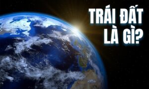 Trai Dat La Gi 1749546309